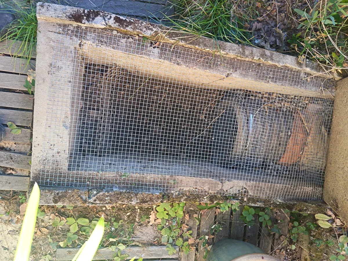 Exutoire d eaux pluviales protégé par une grille anti-rats vu de dessus