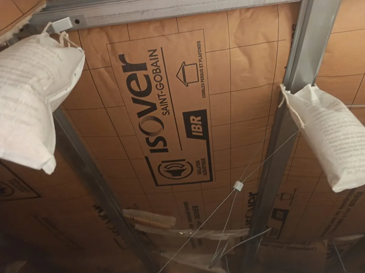 Faux plafond de bureaux traité après le retrait d un rongeur mort