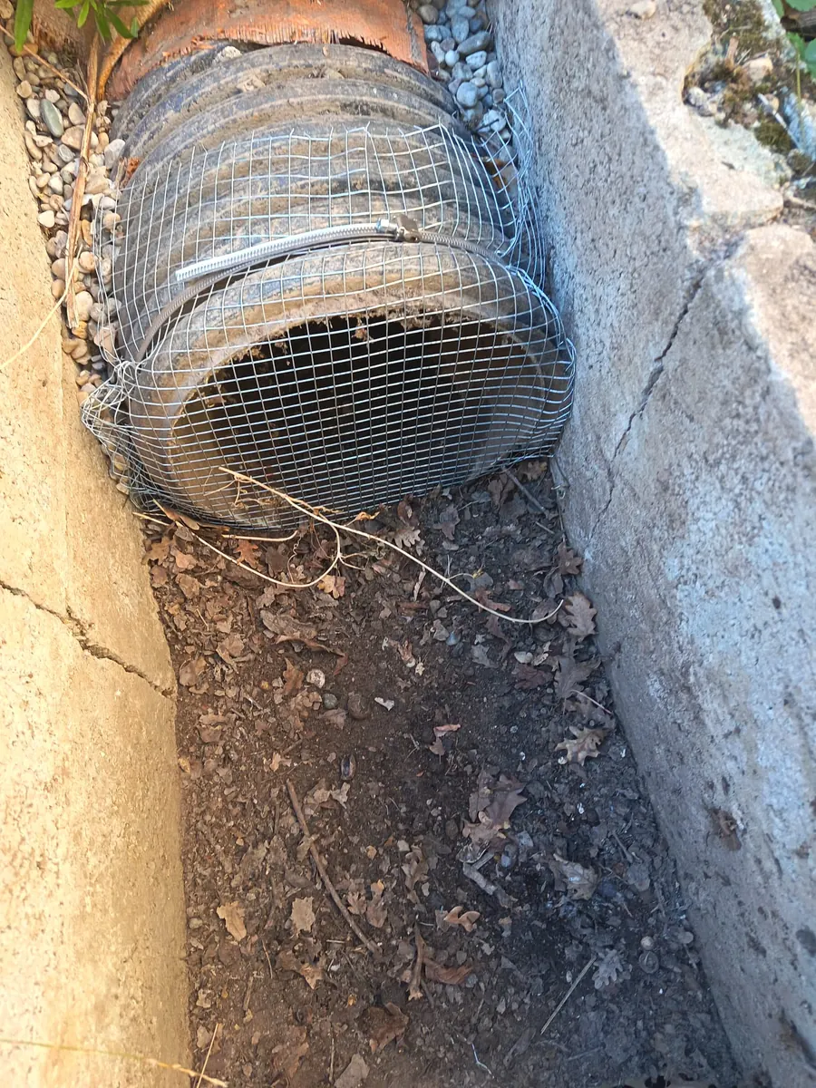 Grille anti-rongeurs en inox posée sur une canalisation en Gironde