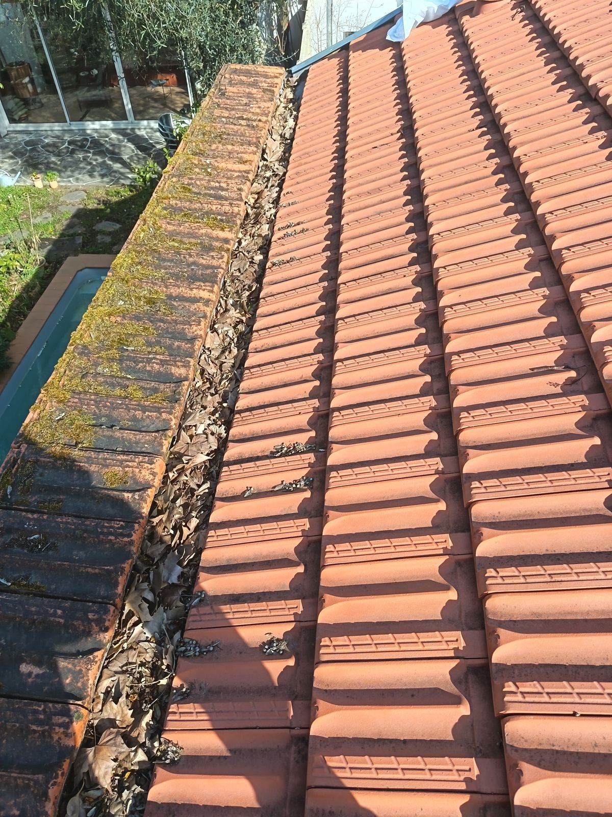 Gouttière encombrée par la mousse et les feuilles mortes à Bordeaux avant nettoyage